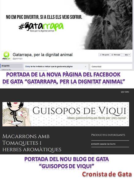 NOVETATS A GATA: Al facebook GATARRAPA, per la dignitat animal, i al món dels blogs, GUISOPOS DE VIQUI (menjars)