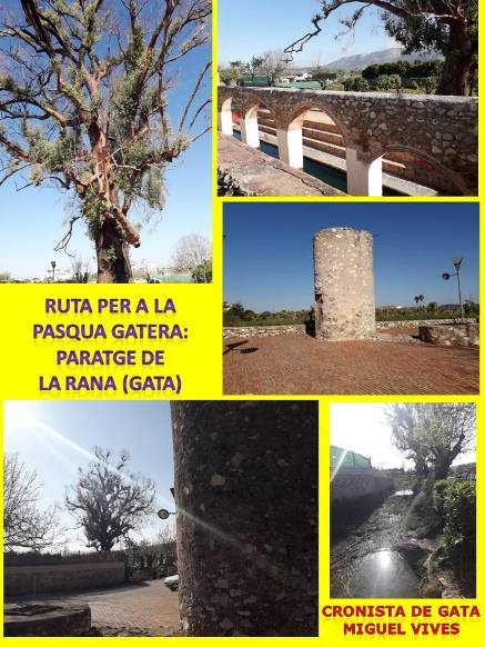 RUTES PER A LA PASQUA GATERA (I), PARATGE DE LA RANA: aigua, antic llavador, eucaliptus monumental, molí de vent,...